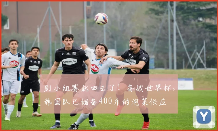 别小组赛就回去了！备战世界杯，韩国队已储备400斤的泡菜供应