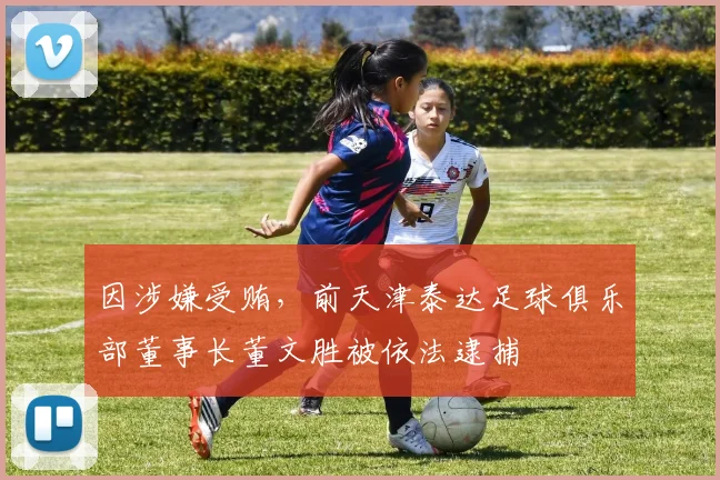 因涉嫌受贿，前天津泰达足球俱乐部董事长董文胜被依法逮捕