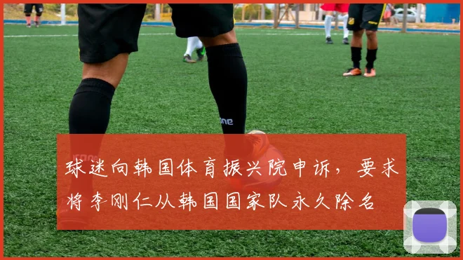 球迷向韩国体育振兴院申诉，要求将李刚仁从韩国国家队永久除名